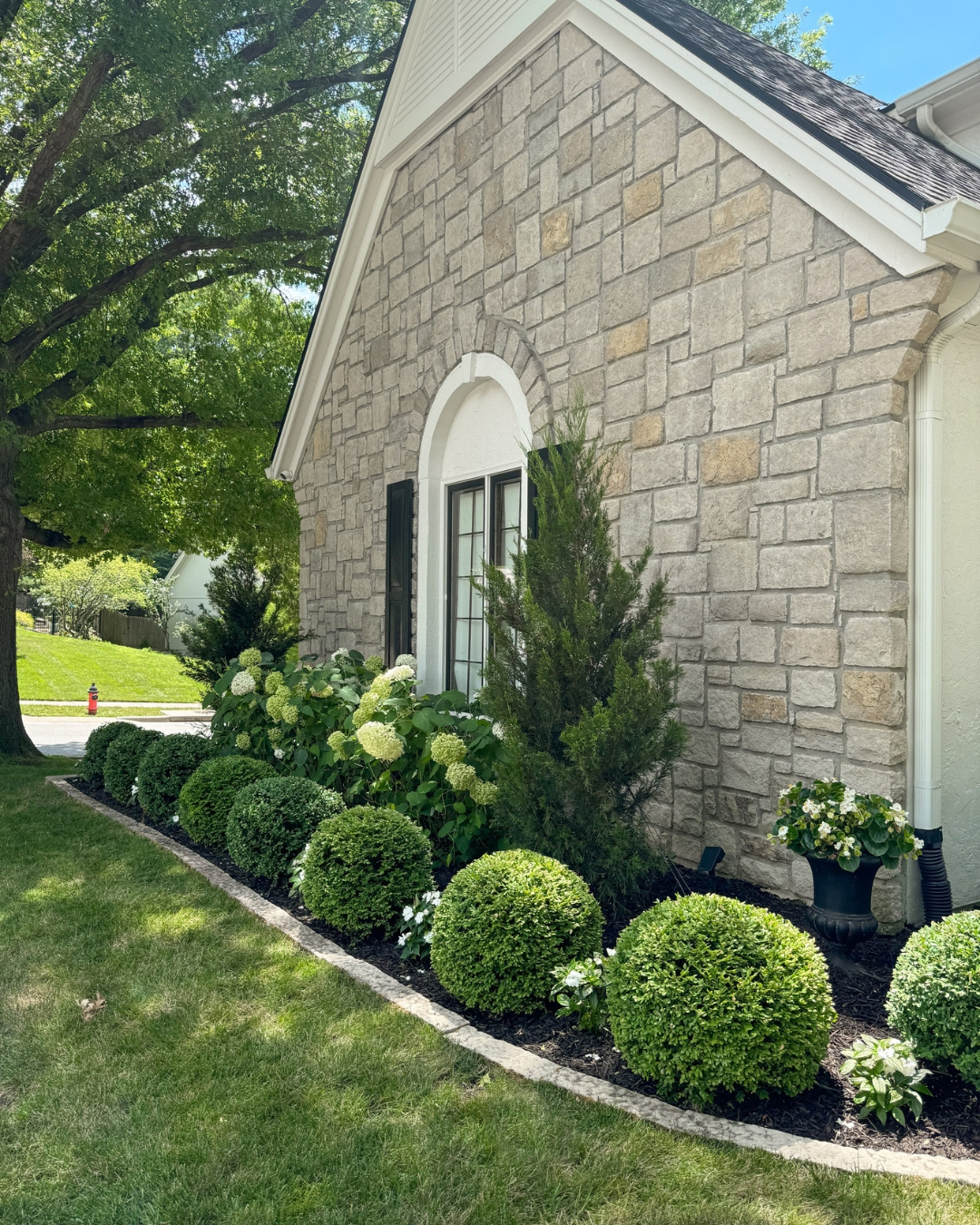 Manicured boxwood garden bed with hydrangeas and evergreens along a stone home