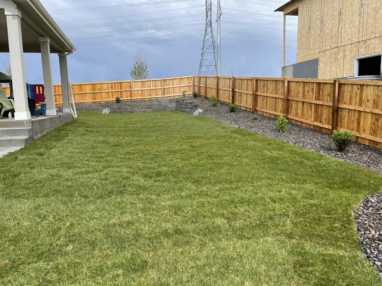 Fresh sod backyard lawn with new cedar fence and rock border