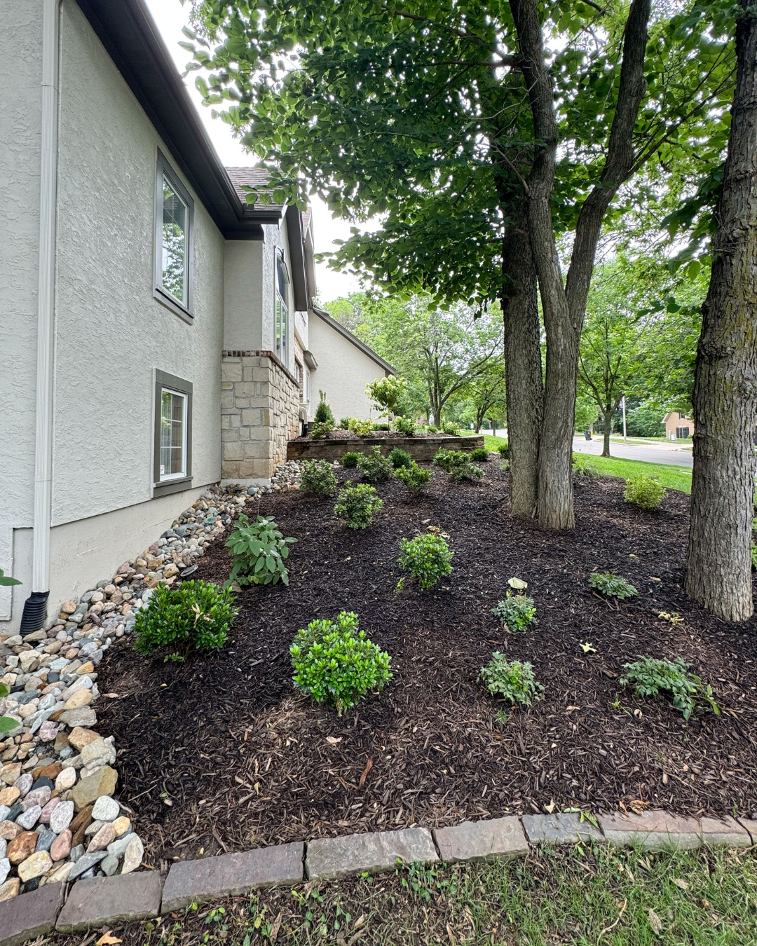 Shaded mulch bed with new shrubs, river rock edge and stone border